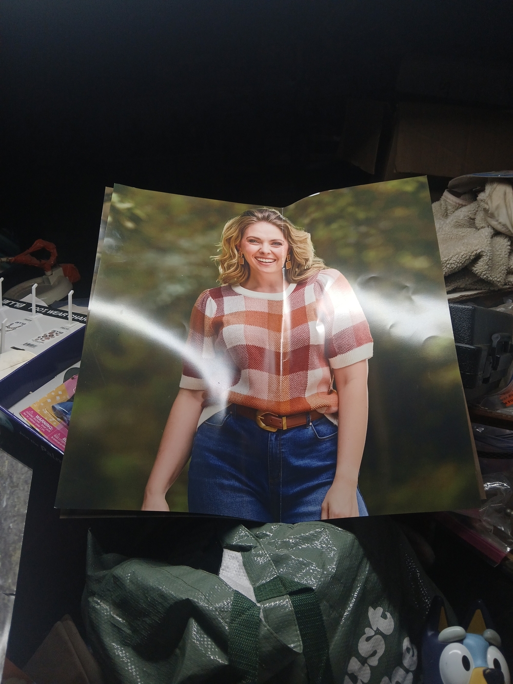 20"x19" Cato Wall Poster orange, cream, and red plaid short-sleeve puff-shoulder